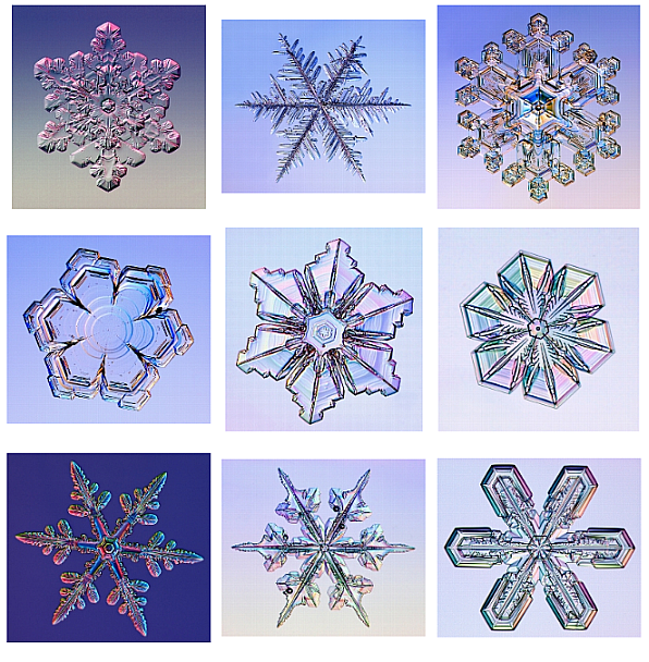 היפני וגבישי הקרח שלו