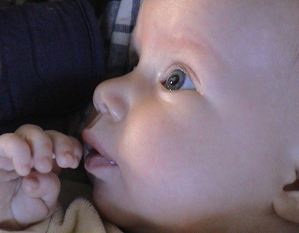 לא הגיוני, אך&nbsp;נכון