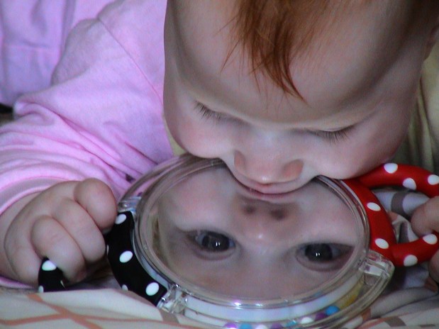 מראה, מראה שעל&nbsp;הקיר