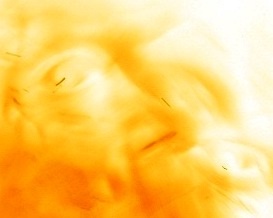 המתקשרות, הספקן והאנתרופולוג – שלוש תפישות&nbsp;מציאות