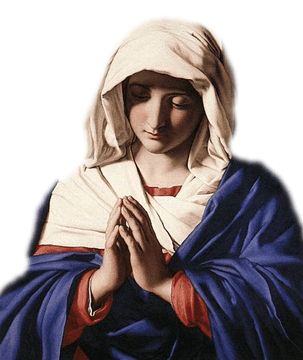 איברי-מין נעלמים, התגלות מריה הקדושה ואשליות המונים&nbsp;נוספות