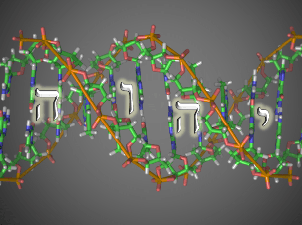 אלוהים מסתתר בפרטים&nbsp;הקטנים