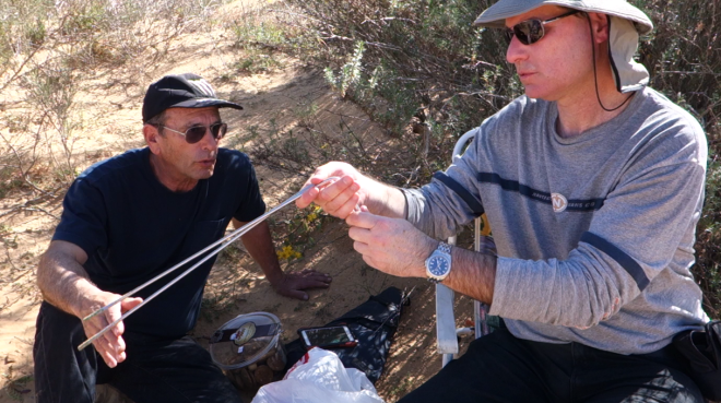 אהרוני מסביר